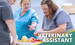 veterinary-assistant