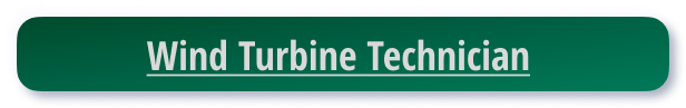 online - self-paced