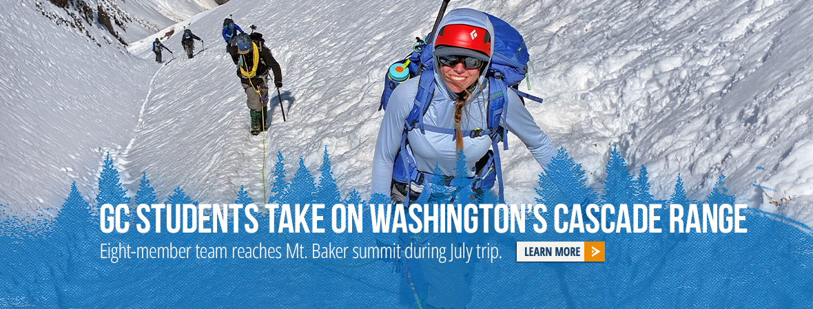 links to washington article